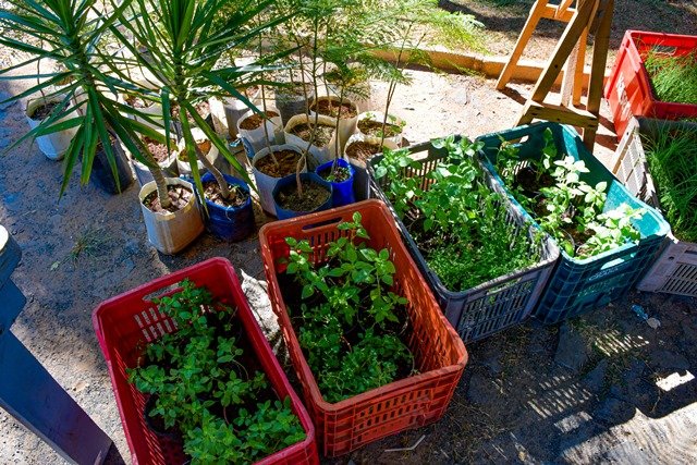 1 encontro caminhos do serto - prefeitura-8